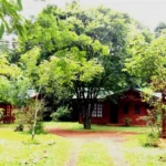 camping puerto Iguazú