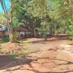camping puerto Iguazú